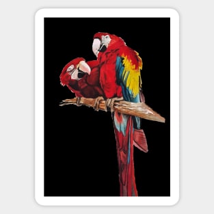 Red Macaw Parrot Watercolor Painting on Black Sticker